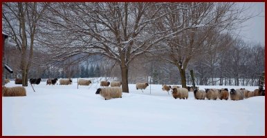Winter 2009/10